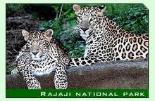 Rajaji National Park